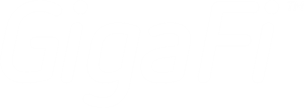 GigaFi™